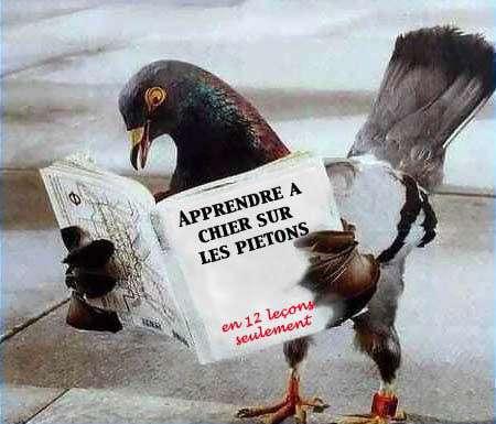 jadore chier ds la rue apres sa sen bon lol!!!