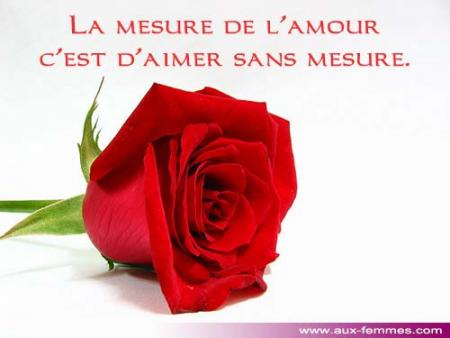 amour