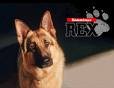REX