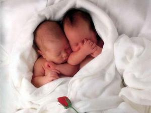 bébés