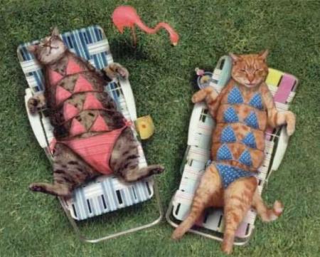 ha que c bien de se fair doré au soleil